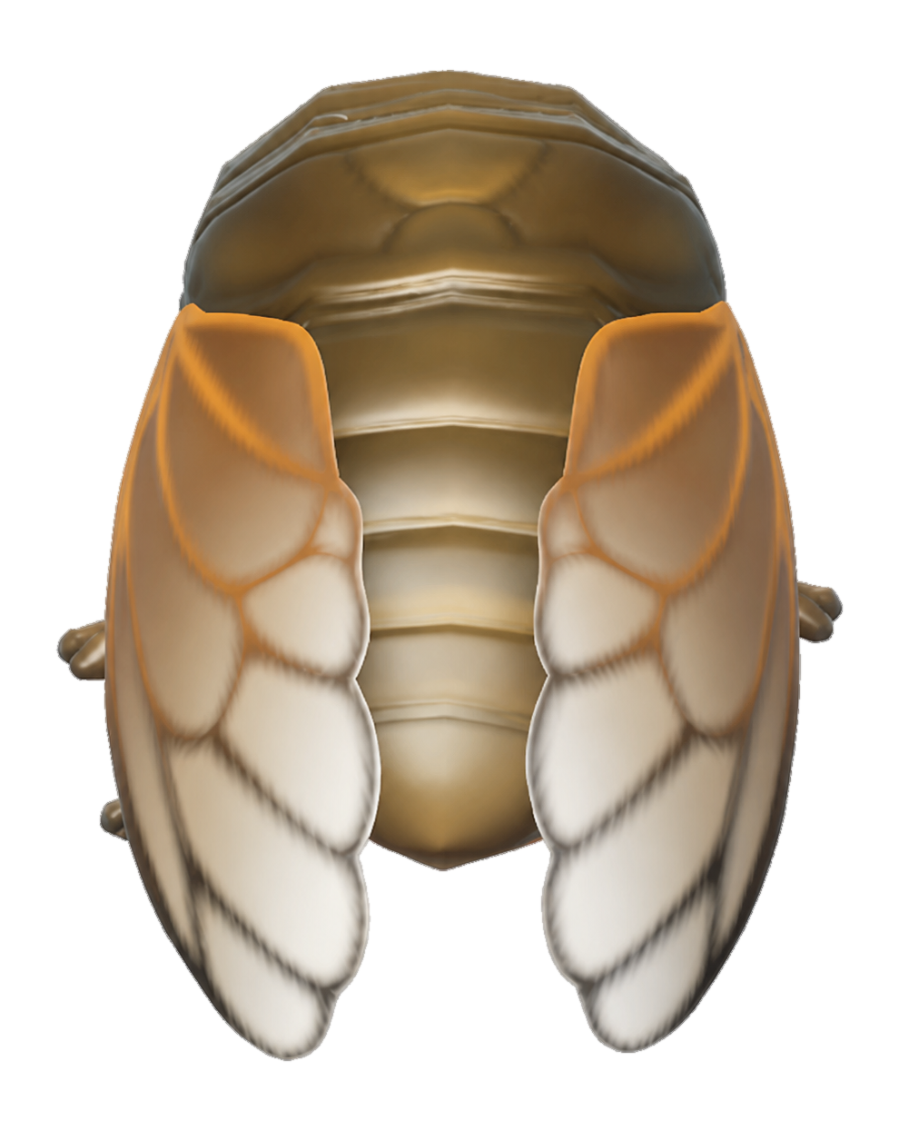 Insecte Cigale dans Heartopia