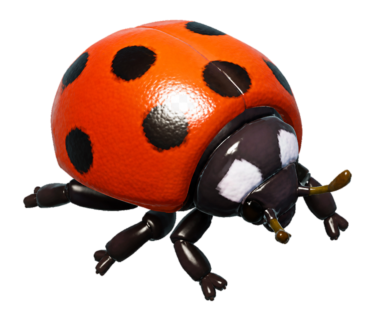 Insecte Coccinelle à sept points dans Heartopia