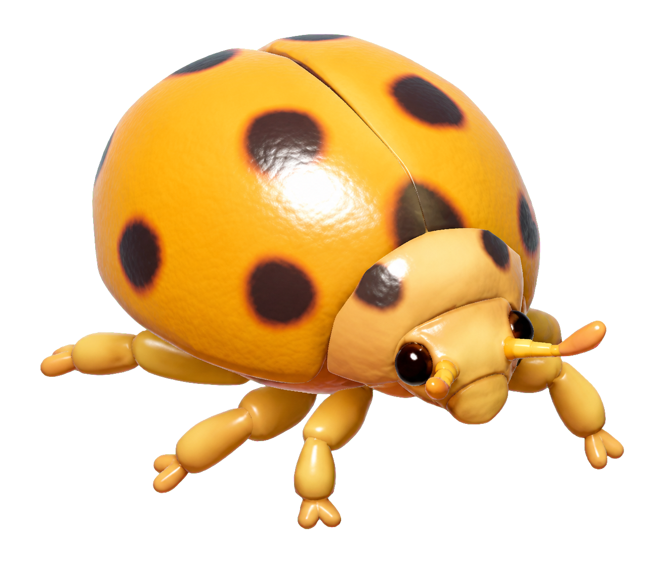 Insecte Coccinelle à treize points dans Heartopia
