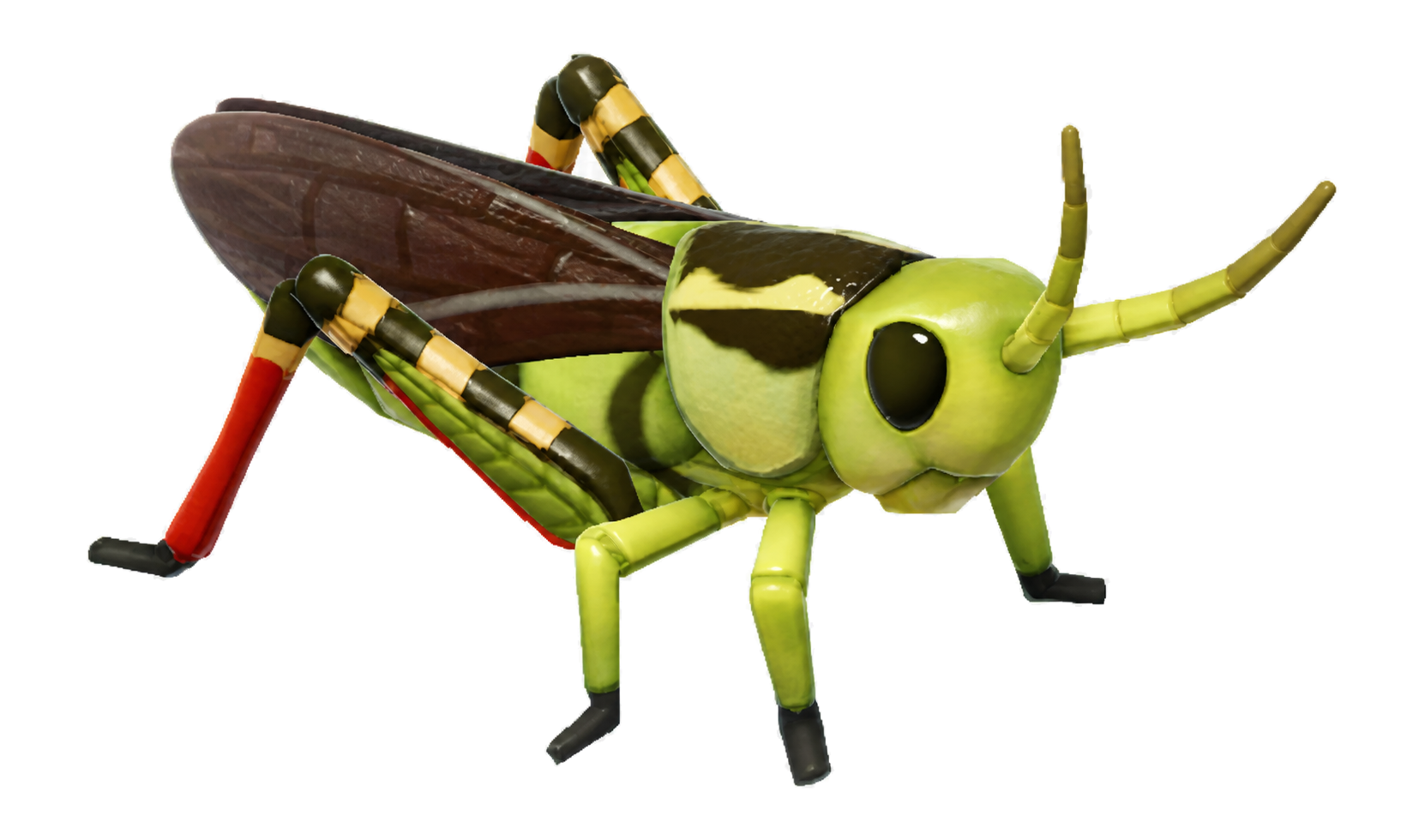 Insecte Criquet à ailes réticulées dans Heartopia