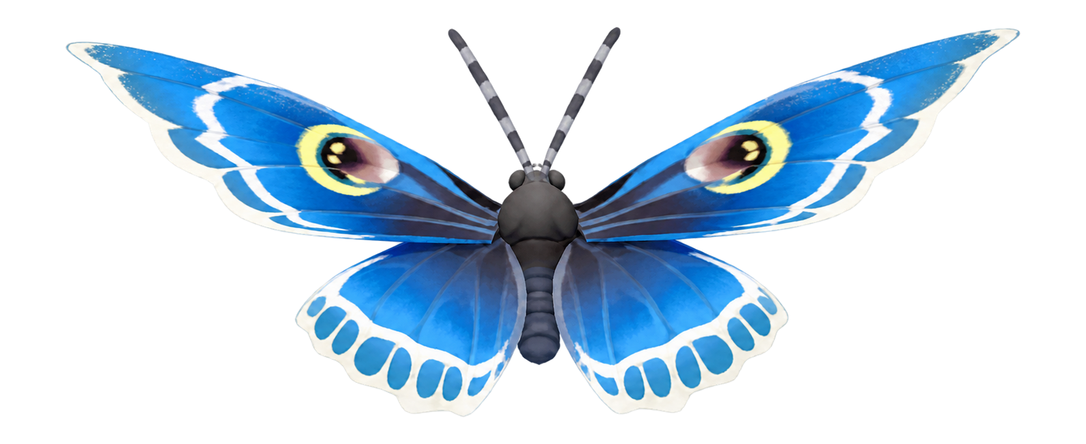 Insecte Erebus albicinctus dans Heartopia