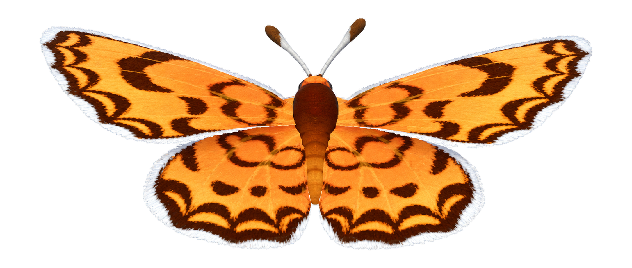 Insecte Mélitée léopard dans Heartopia