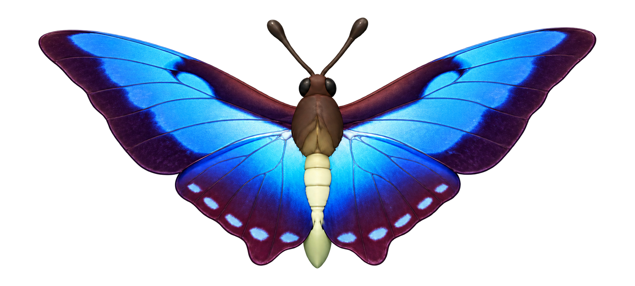 Insecte Morpho cisseis dans Heartopia