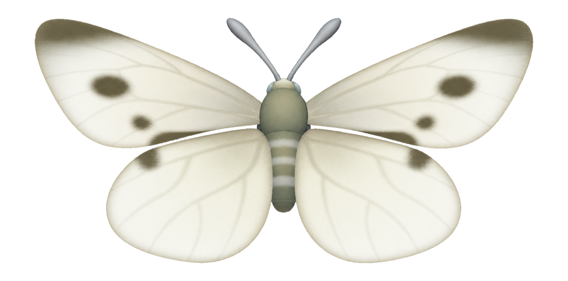 Insecte Papillon blanc dans Heartopia
