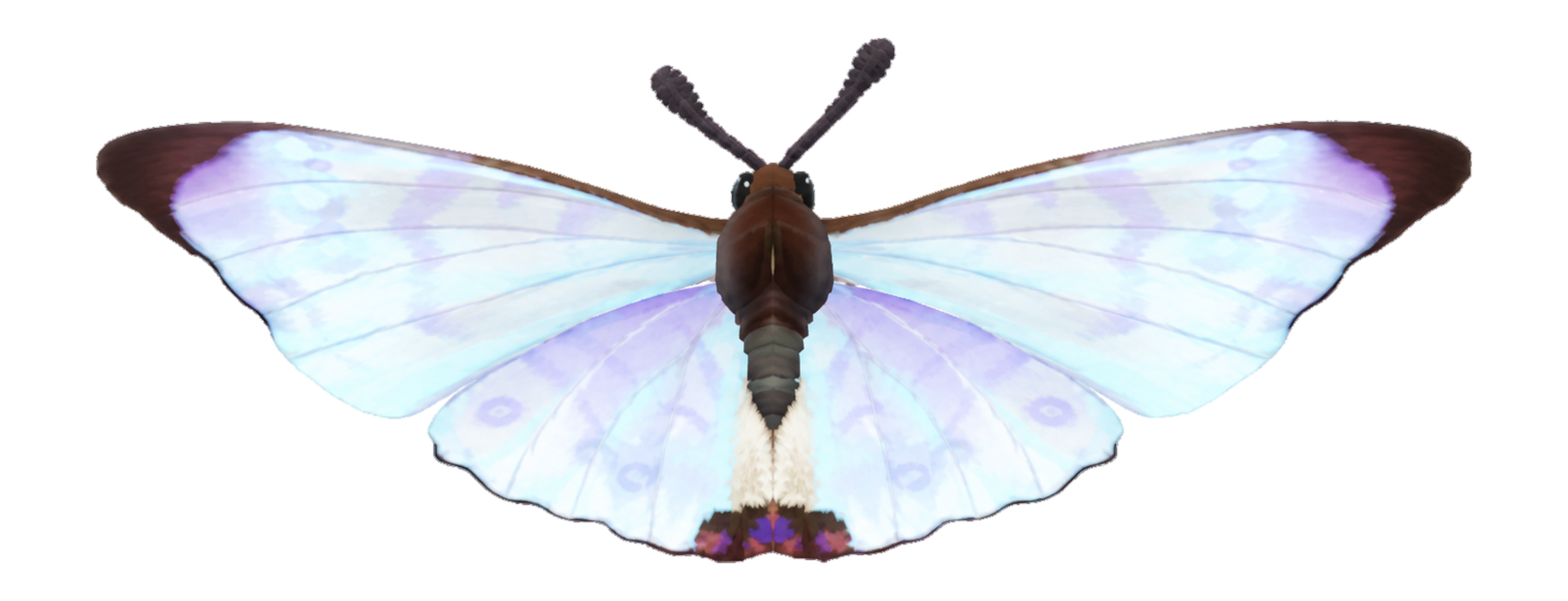 Insecte Papillon de nuit luminescent dans Heartopia