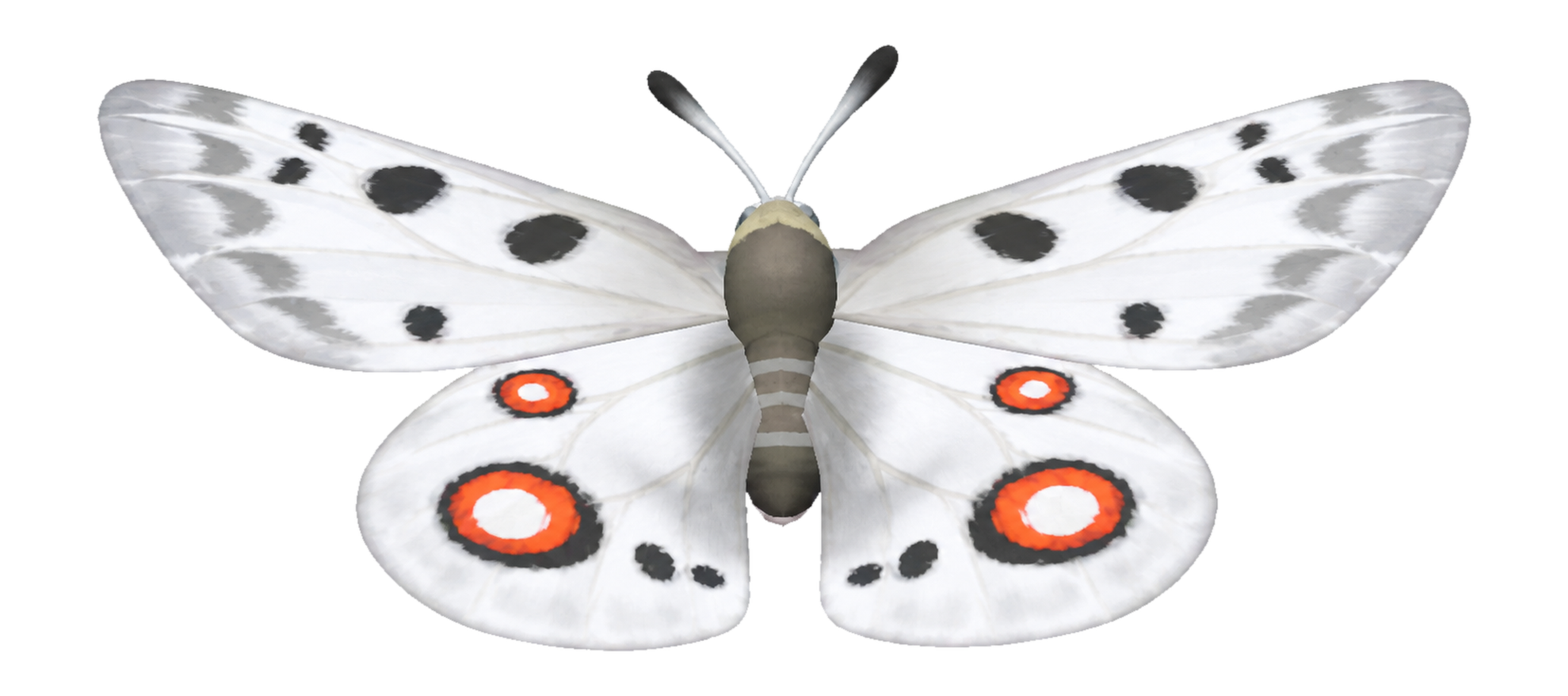 Insecte Parnassien dans Heartopia