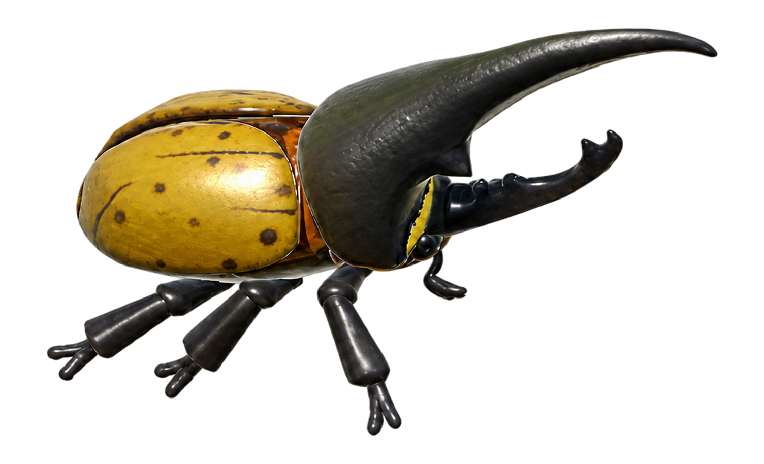 Insecte Scarabée Hercule dans Heartopia